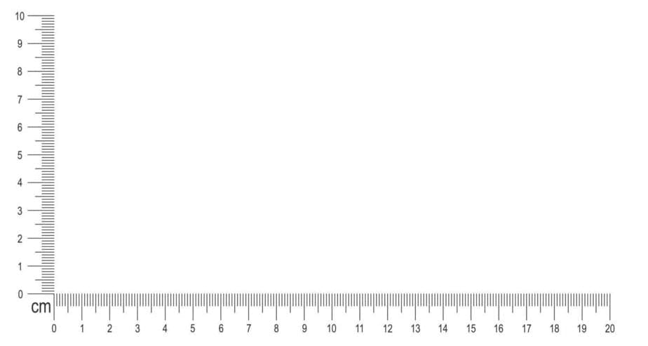 Etiqueta solo texto mediana - Imagen 4